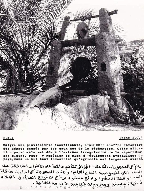 Algerie propagande 077.jpg